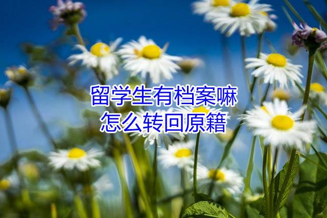留学生有档案嘛,怎么转回原籍
