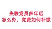 失联党员多年后怎么办，党费如何补缴
