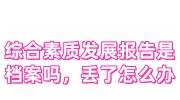 综合素质发展报告是档案吗，综合素质发展报告丢了怎么办