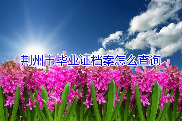 荆州市毕业证档案怎么查询