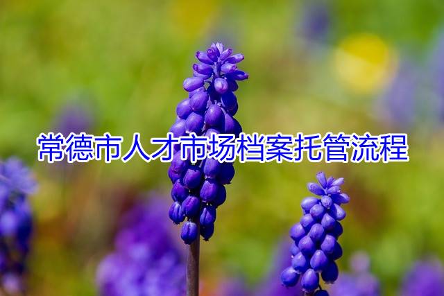 常德市人才市场档案托管流程