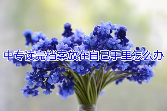 中专读完档案放在自己手里怎么办