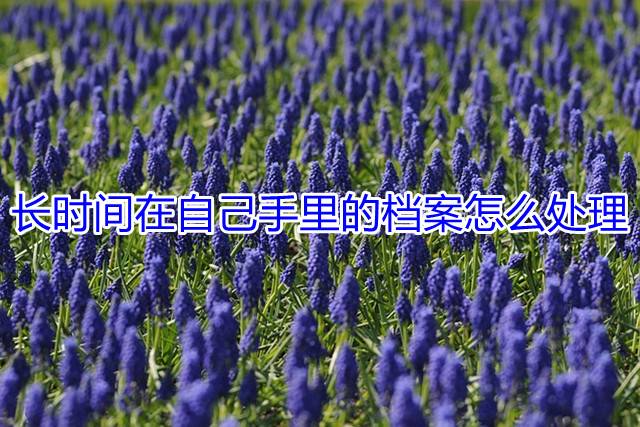 长时间在自己手里的档案怎么处理