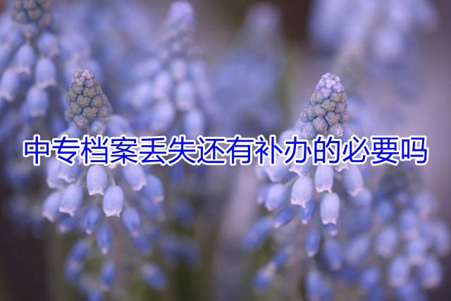 中专档案丢失还有补办的必要吗