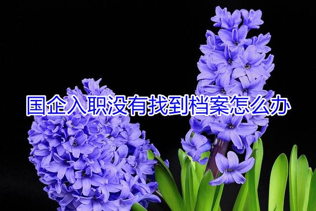 国企入职没有找到档案怎么办