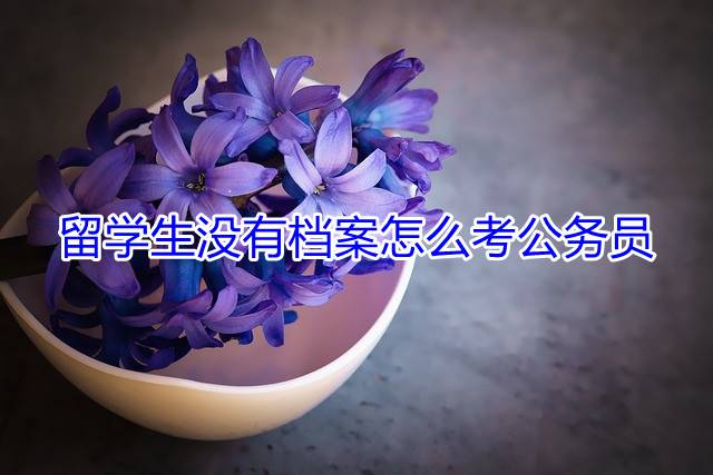 留学生没有档案怎么考公务员