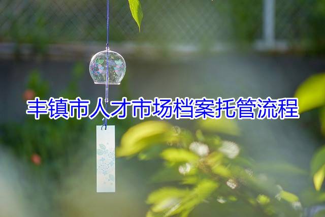 丰镇市人才市场档案托管流程