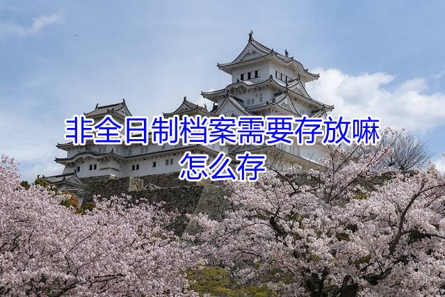 非全日制档案需要存放嘛，怎么存