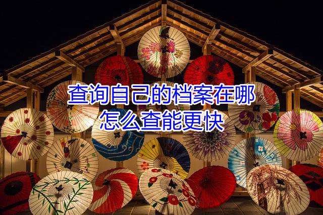 查询自己的档案在哪怎么查能更快