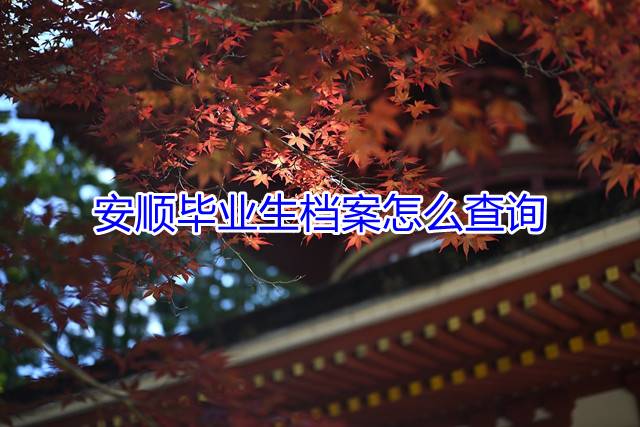 安顺毕业生档案怎么查询