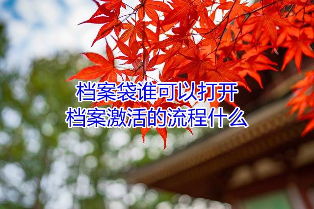 档案袋谁可以打开，档案激活的流程什么