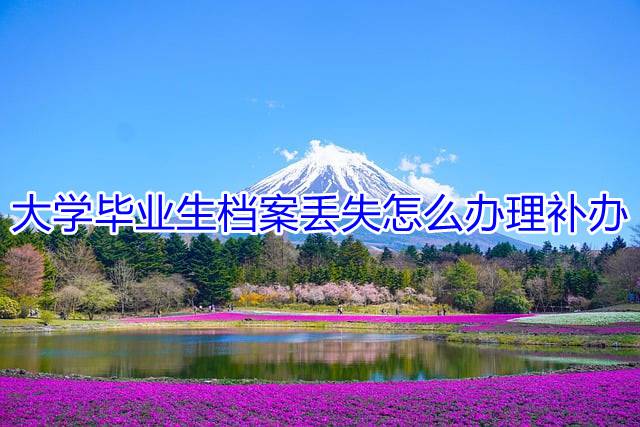 大学毕业生档案丢失怎么办理补办