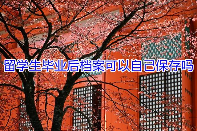 留学生毕业后档案可以自己保存吗