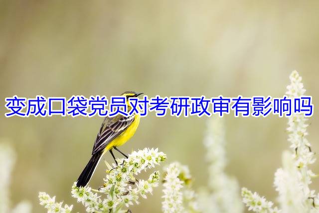 变成口袋党员对考研政审有影响吗