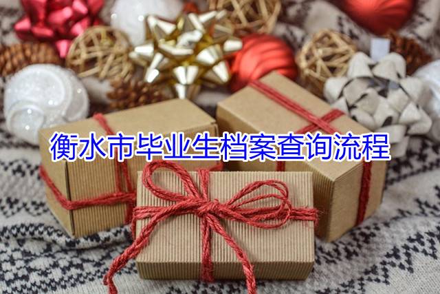 衡水市毕业生档案查询流程