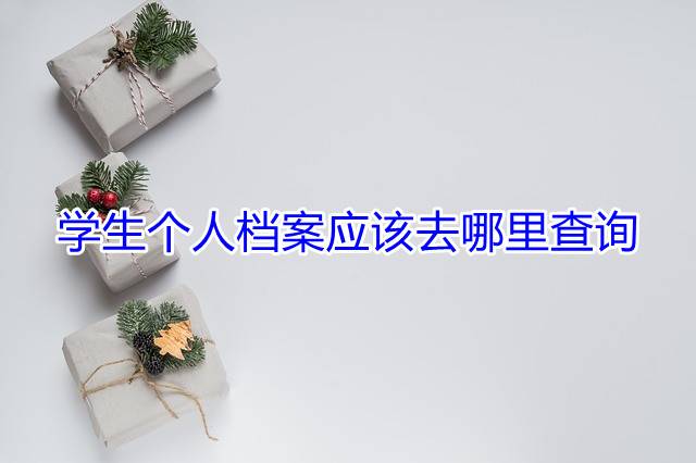 学生个人档案应该去哪里查询