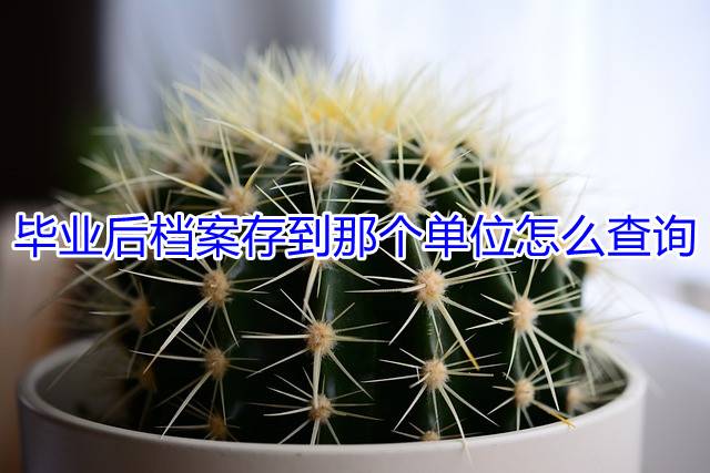 毕业后档案存到那个单位怎么查询