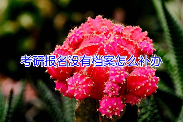 考研报名没有档案怎么补办