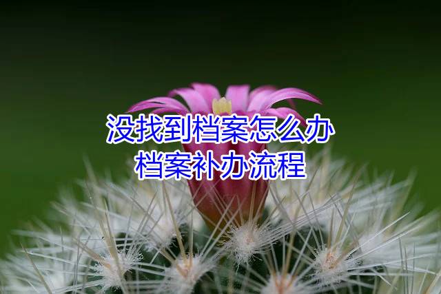 没找到档案怎么办，档案补办流程