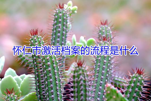 怀仁市激活档案的流程是什么