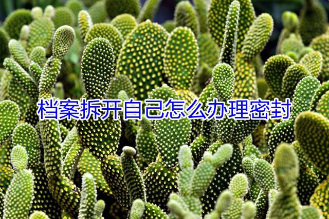 档案拆开自己怎么办理密封
