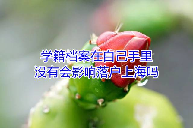 学籍档案在自己手里没有会影响落户上海吗