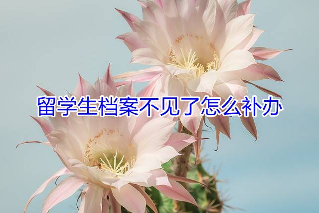留学生档案不见了怎么补办
