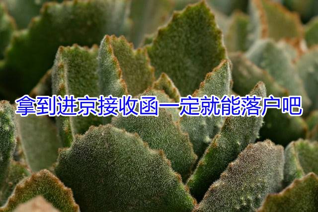 拿到进京接收函一定就能落户吧