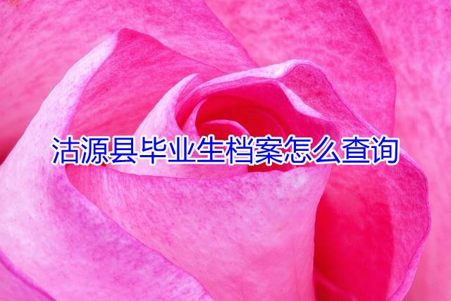 沽源县毕业生档案怎么查询