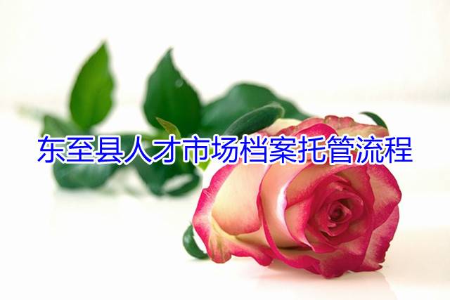 东至县人才市场档案托管流程