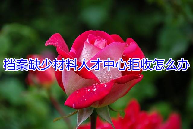 档案缺少材料人才中心拒收怎么办
