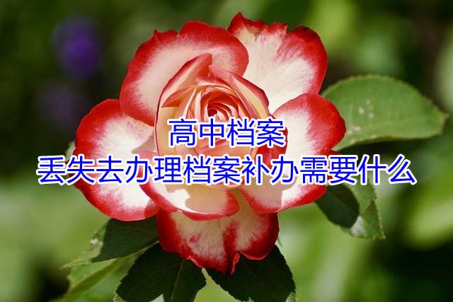 高中档案丢失去办理档案补办需要什么