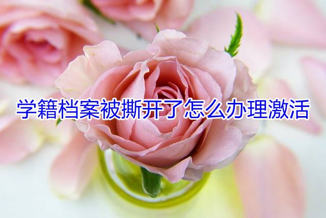 学籍档案被撕开了怎么办理激活