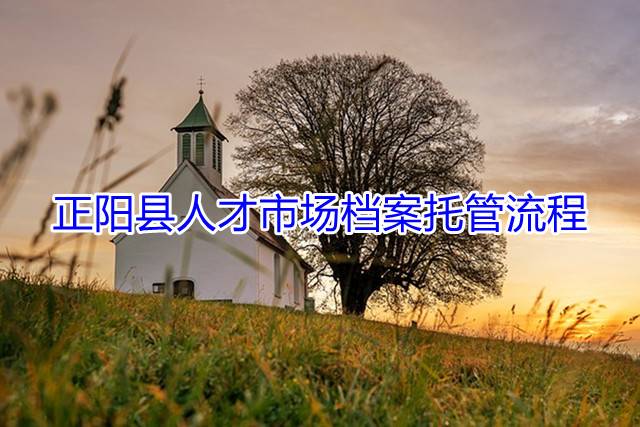正阳县人才市场档案托管流程