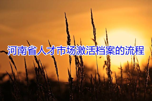河南省人才市场激活档案的流程