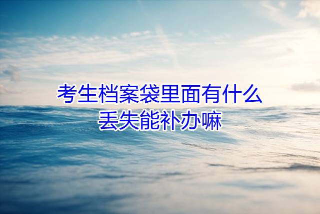 考生档案袋里面有什么，丢失能补办嘛