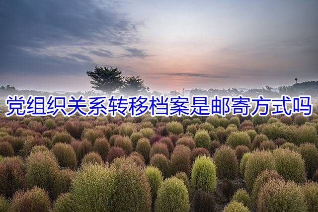 党组织关系转移是邮寄方式吗
