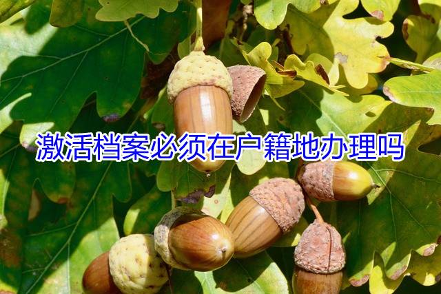 激活档案必须在户籍地办理吗