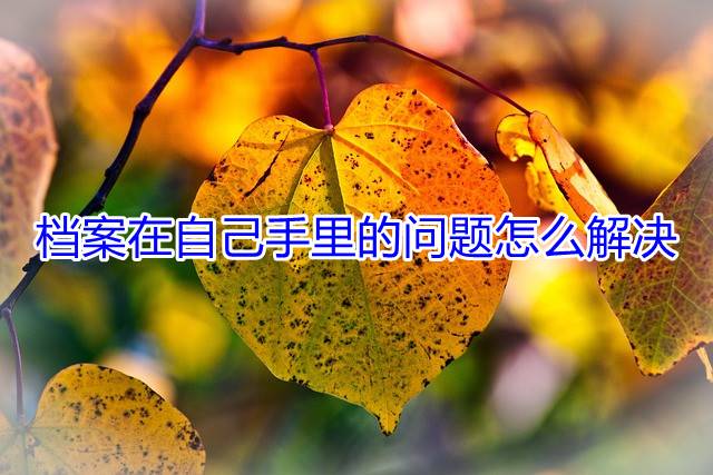 档案在自己手里的问题怎么解决