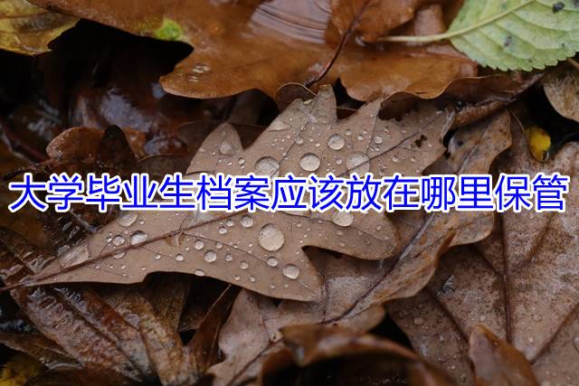 大学毕业生档案应该放在哪里保管