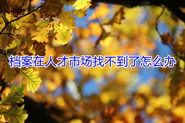 档案在人才市场找不到了怎么办