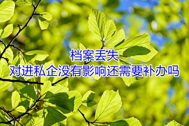 档案丢失对进私企没有影响还需要补办吗