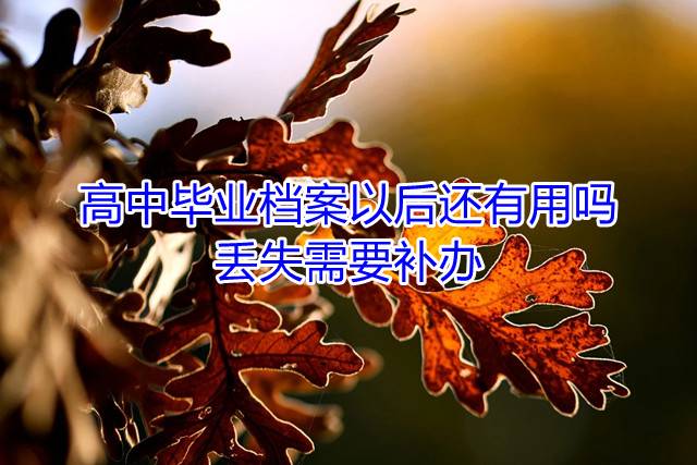 高中毕业档案以后还有用吗，丢失需要补办