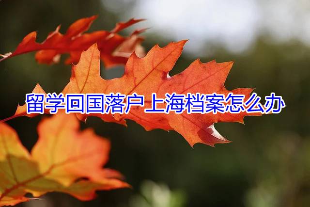 留学回国落户上海档案怎么办