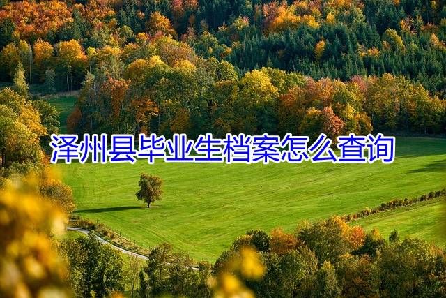 泽州县毕业生档案怎么查询