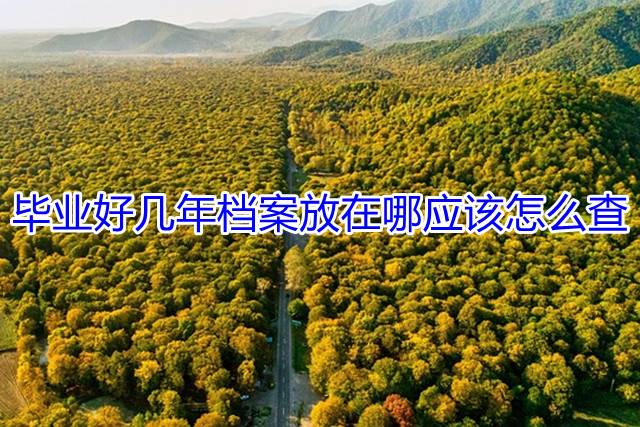 毕业好几年档案放在哪应该怎么查
