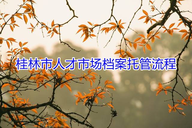 桂林市人才市场档案托管流程