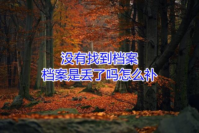 没有找到档案，档案是丢了吗怎么补