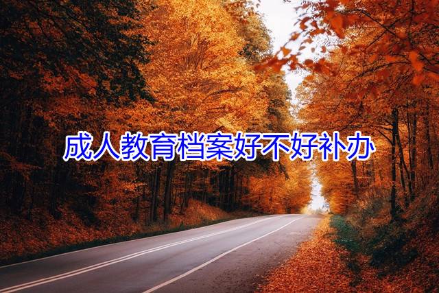 成人教育档案好不好补办