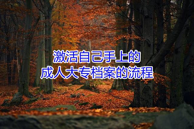 激活自己手上的成人大专档案的流程